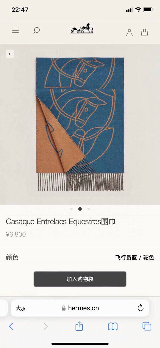 Hermes Casaque Entrelacs Equestres围巾这款山羊绒围巾采用细腻的撞色提花编织 呈现杰夫 麦克菲里奇 Geoff Mcfetrid