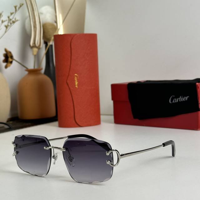 原版 Cartie Mod Ct0092O Size 53-19-145 眼镜墨镜太阳镜